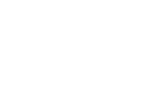 Universidad Alfa y Omega